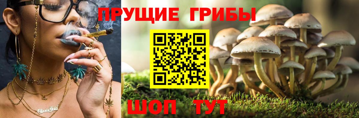 Псилоцибиновые грибы GOLDEN TEACHER Алексеевка